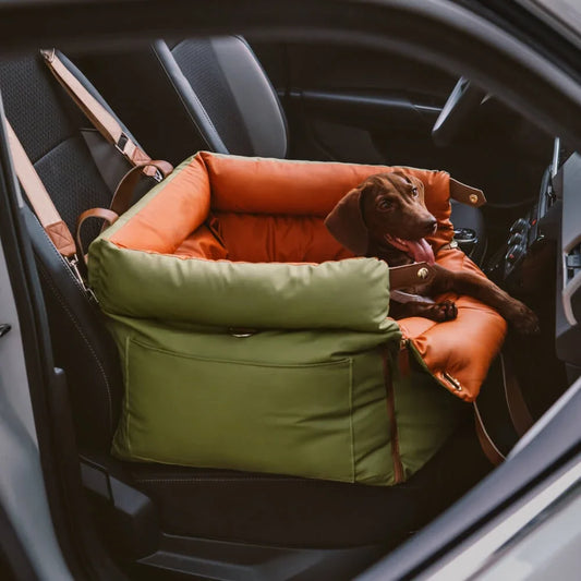 Seggiolino Auto per Cani e Gatti
