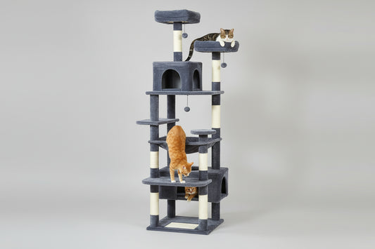 Tiragraffi XXL PAWZ Road per Gatti Grandi