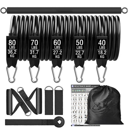 Workout Bar con Resistance Bands