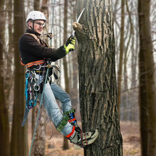 Tree Climbing Tool Set è un kit