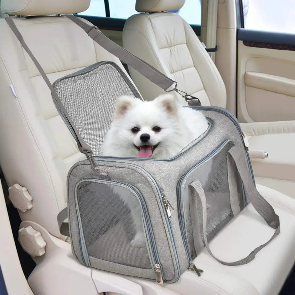 Trasportino per Cani e Gatti da Viaggio