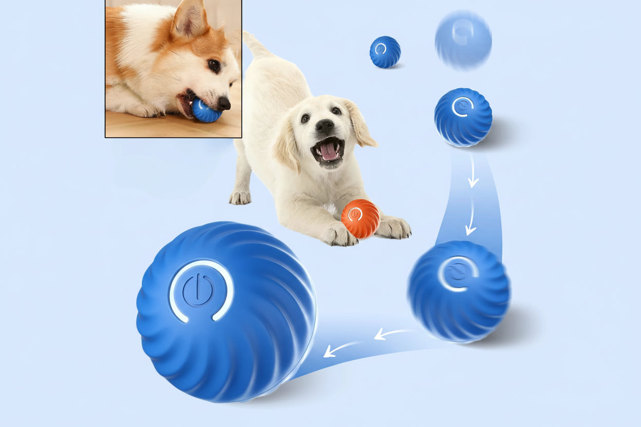 Palla Interattiva Automatica per Cani