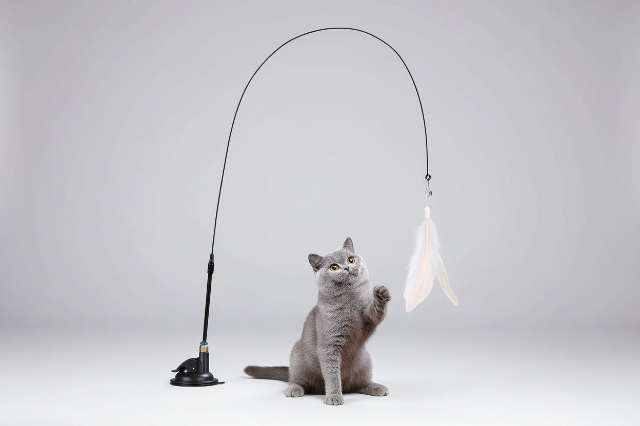 Cat Teaser Toy