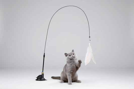 Cat Teaser Toy