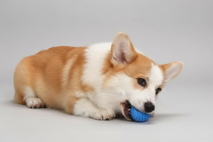 Palla Interattiva Automatica per Cani