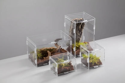Terrario in Acrilico Trasparente per Piccoli Rettili e Insetti