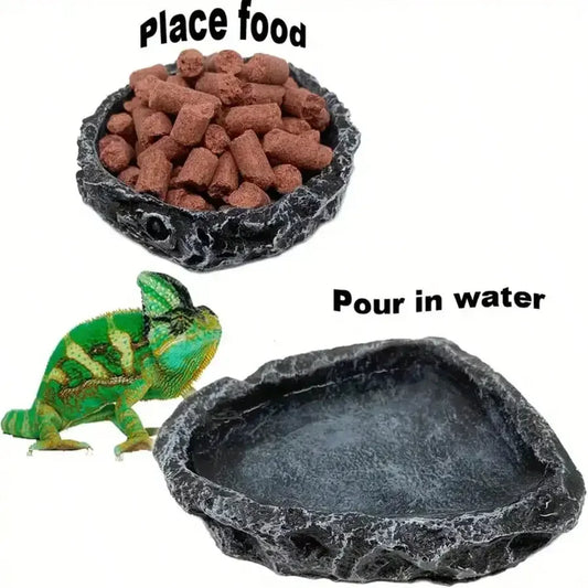 Ciotole Naturali per Cibo e Acqua per Rettili