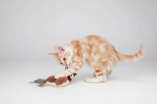 Gioco Interattivo per Gatti