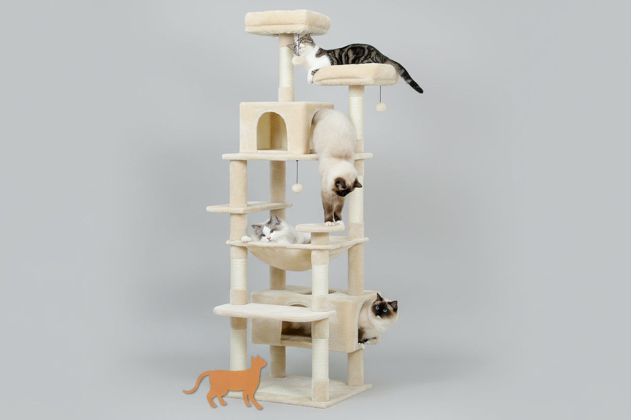 Tiragraffi XXL PAWZ Road per Gatti Grandi