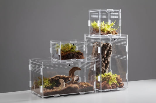 Terrario in Acrilico Trasparente per Piccoli Rettili e Insetti