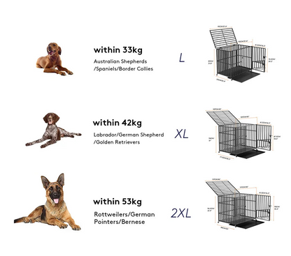 Gabbia per Cani Ultra Resistente BORWART
