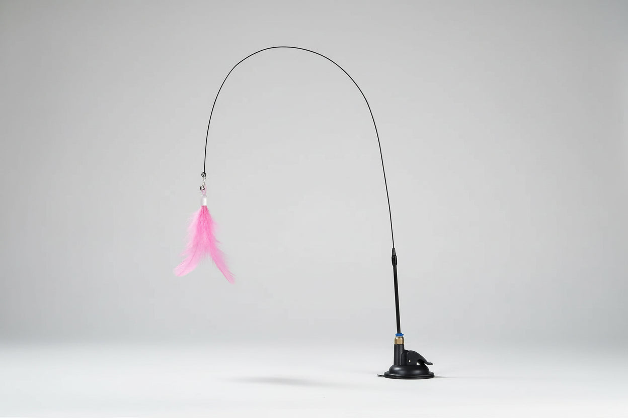 Cat Teaser Toy