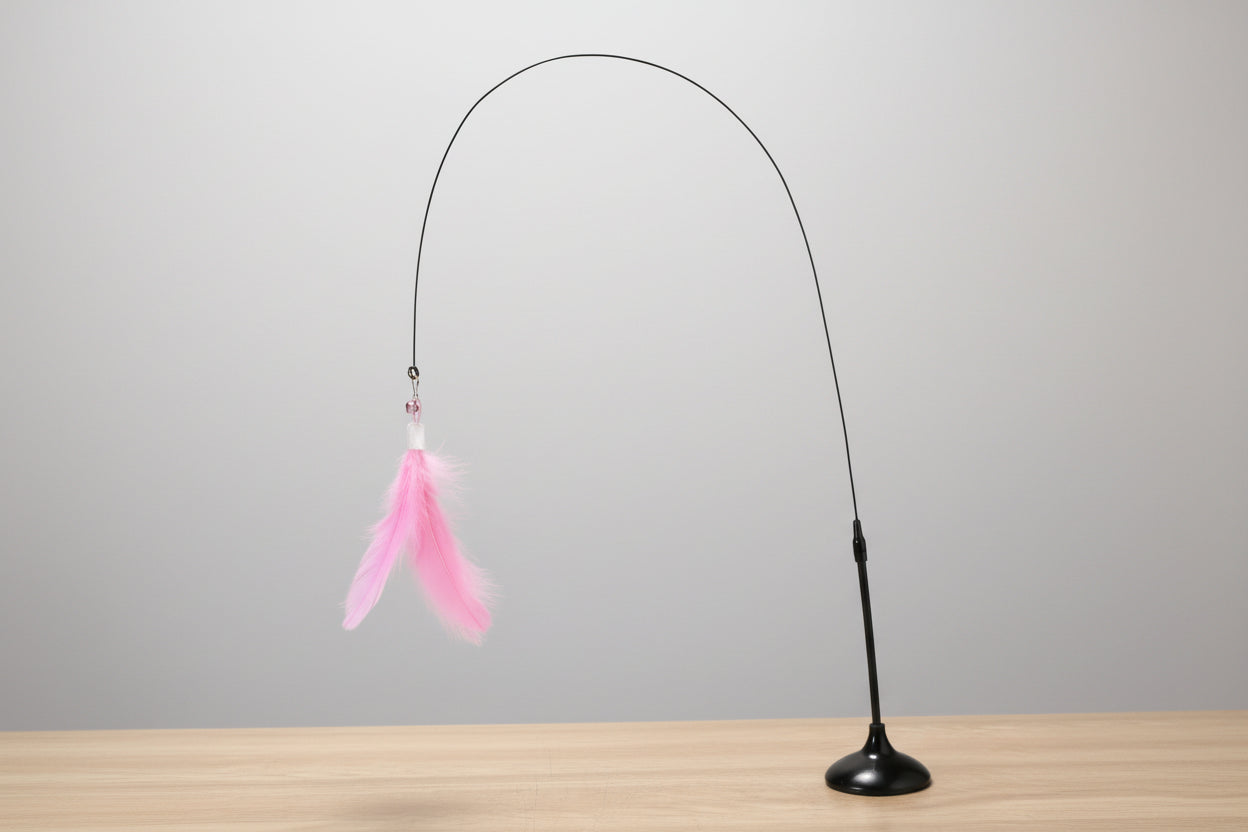Cat Teaser Toy