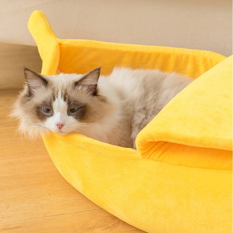 Banana Cat Bed House – Cuccia Divertente e Accogliente