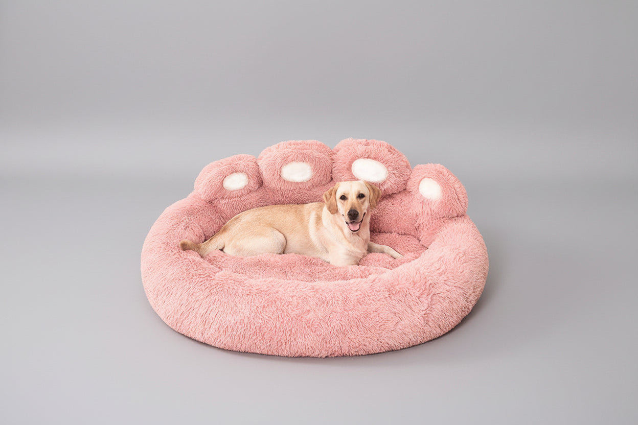 Cuccia Traspirante per Cani
