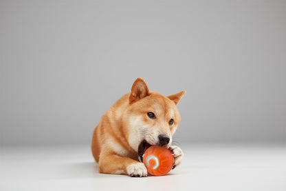 Palla Interattiva Intelligente per Cani