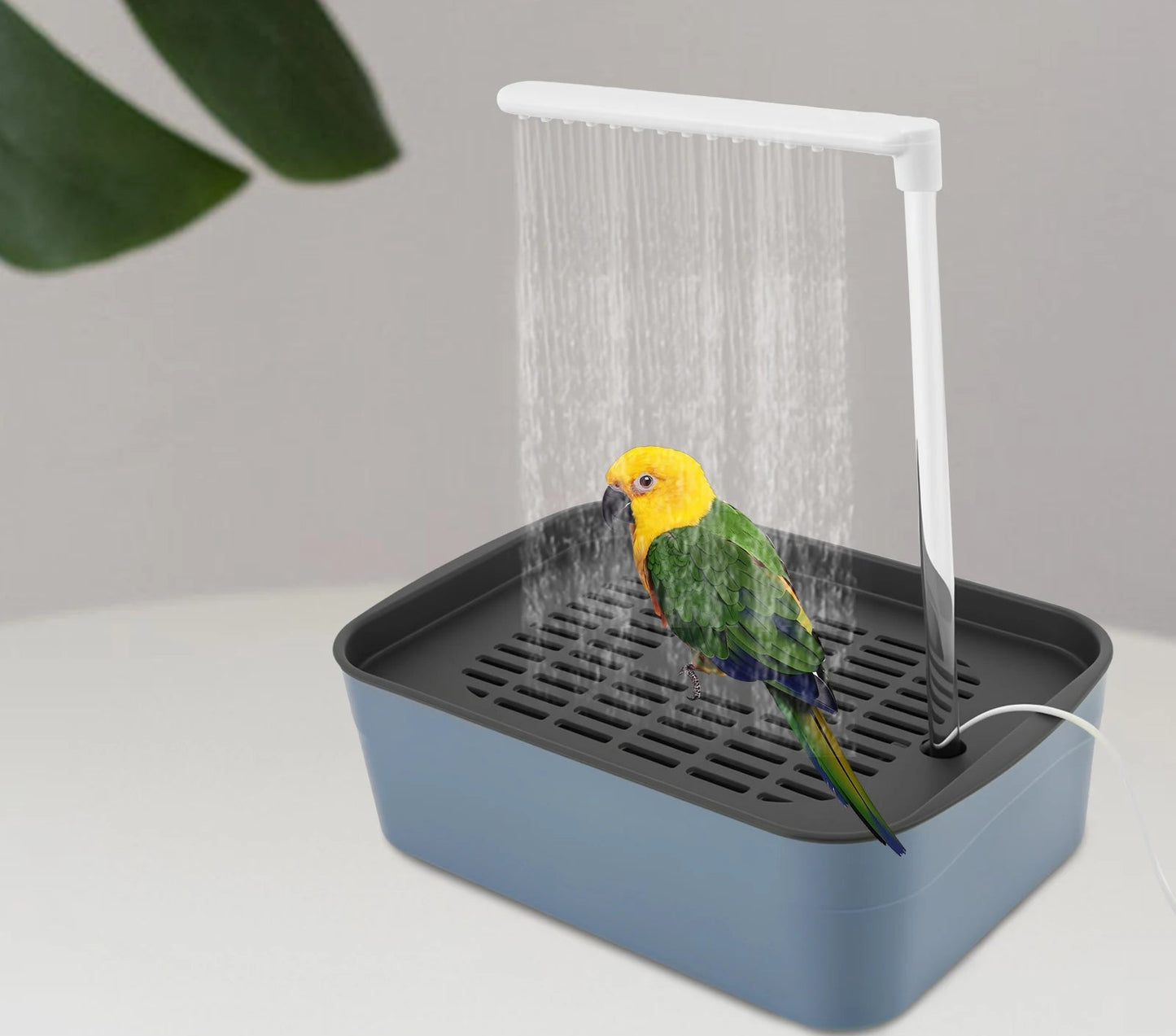 Vasca da Bagno Elettrica per Uccelli e Pappagalli