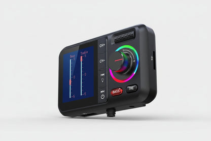 Trasmettitore FM Wireless Multifunzionale