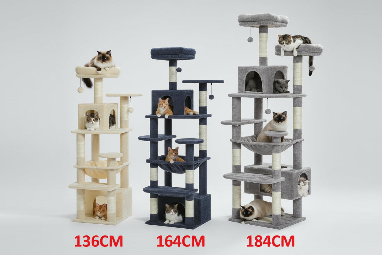 Tiragraffi XXL PAWZ Road per Gatti Grandi